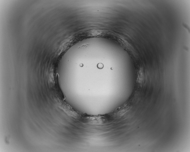 X0000100860524200807070936