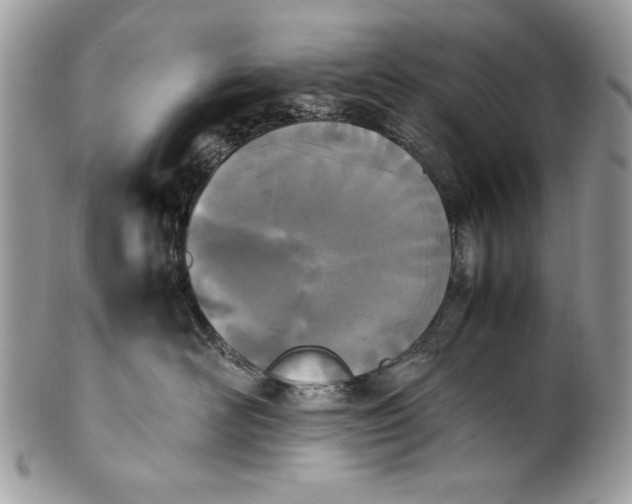 X0000100860526200807070936