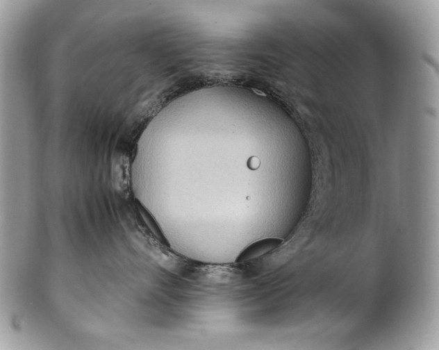 X0000100860528200807070936