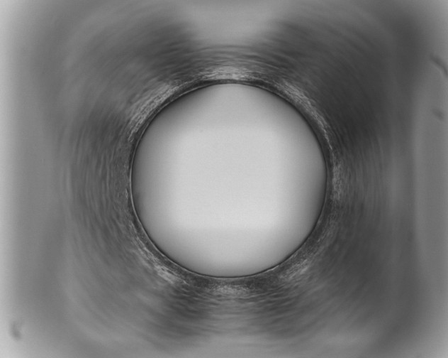 X0000100860529200807070935