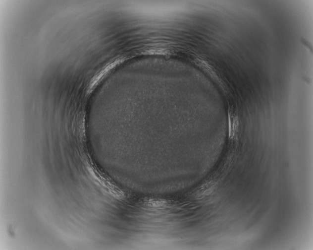 X0000100860531200807070935