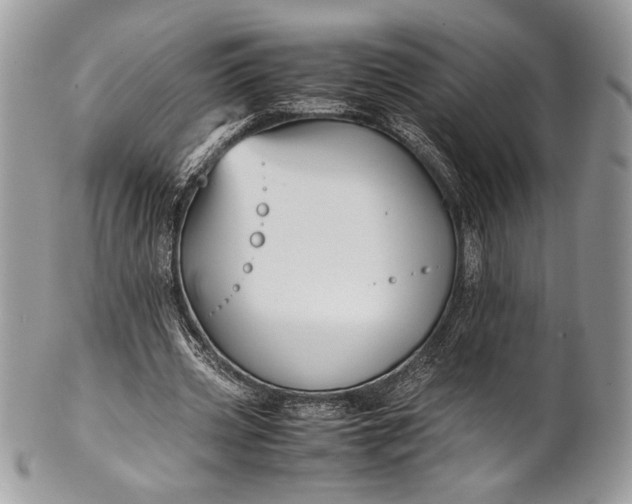 X0000100860533200807070935