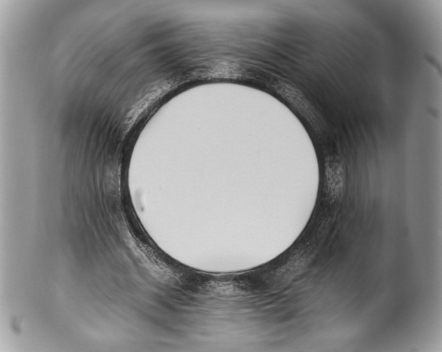 X0000100860534200807070936