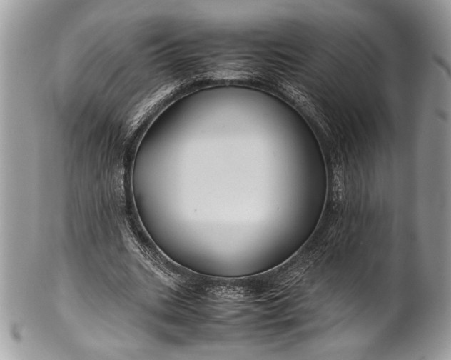 X0000100860535200807070936