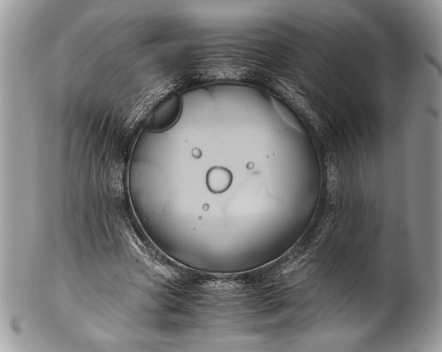 X0000100860537200807070936