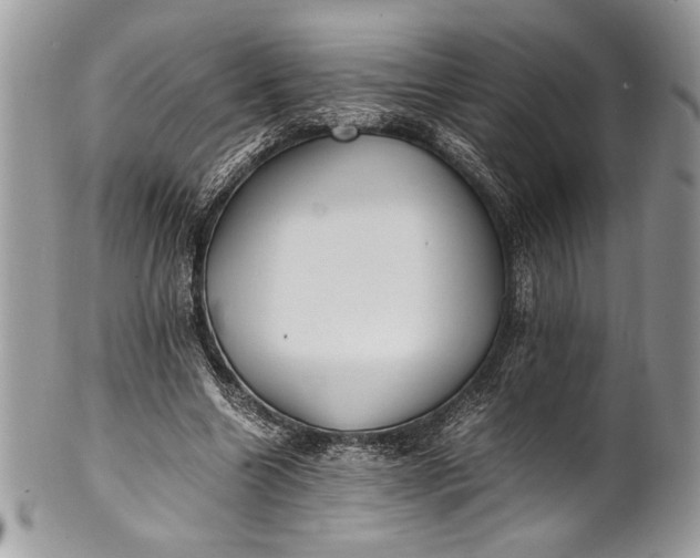 X0000100860538200807070936