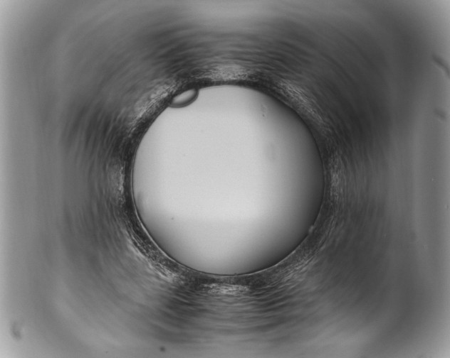 X0000100860539200807070936