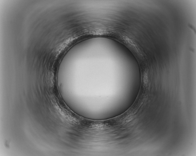 X0000100860540200807070936