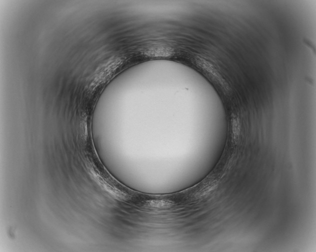 X0000100860541200807070936