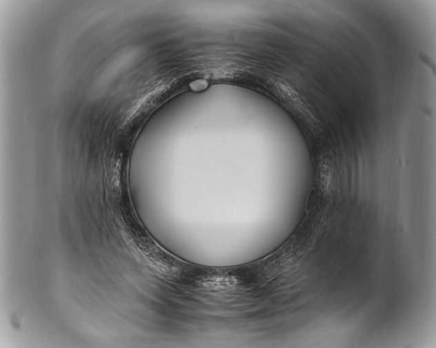 X0000100860543200807070936