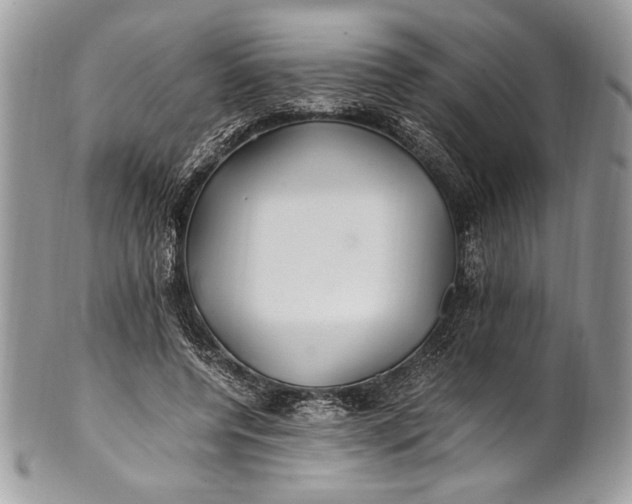 X0000100860544200807070936