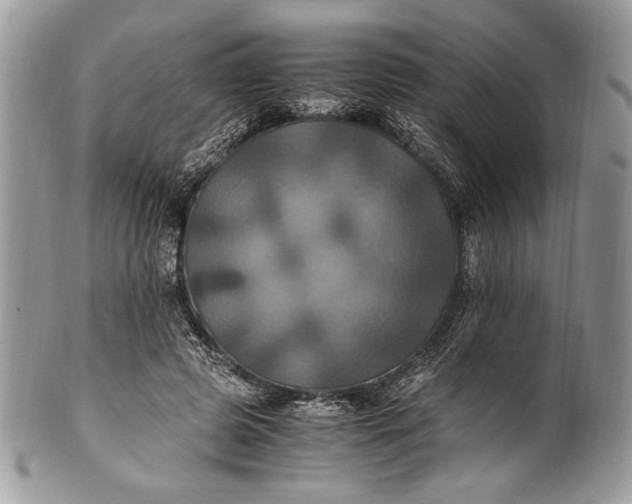 X0000100860545200807070936