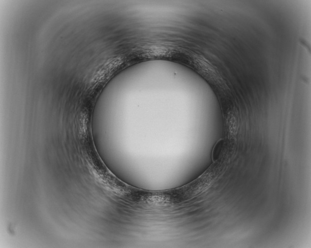 X0000100860546200807070936