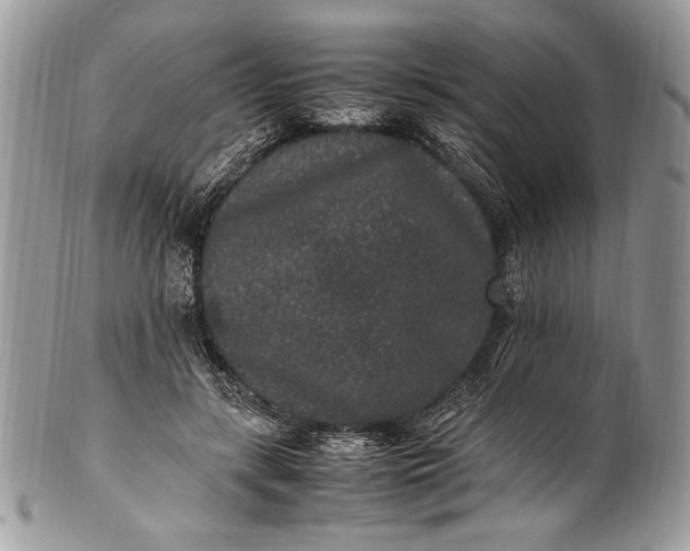 X0000100860547200807070936