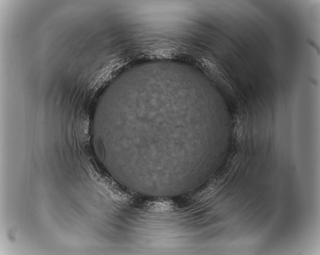 X0000100860548200807070936