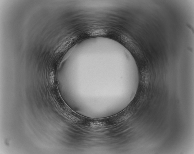 X0000100860549200807070936