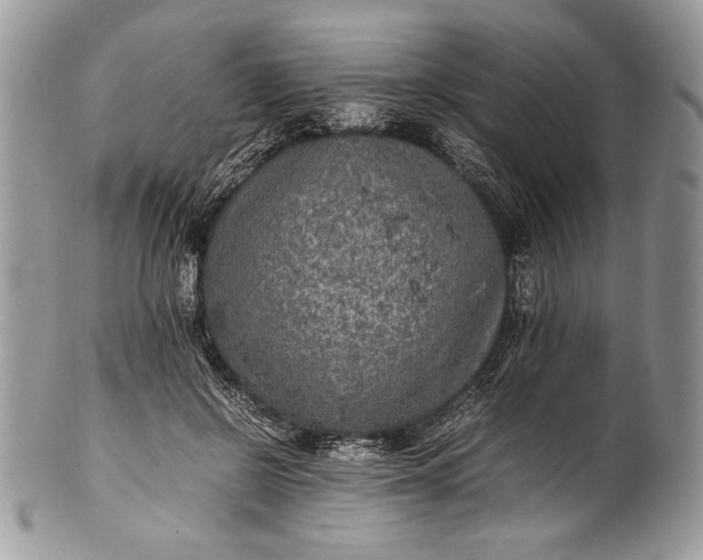 X0000100860550200807070936