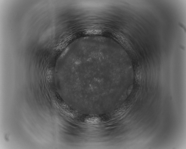 X0000100860551200807070936