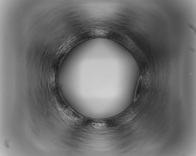 X0000100860552200807070936