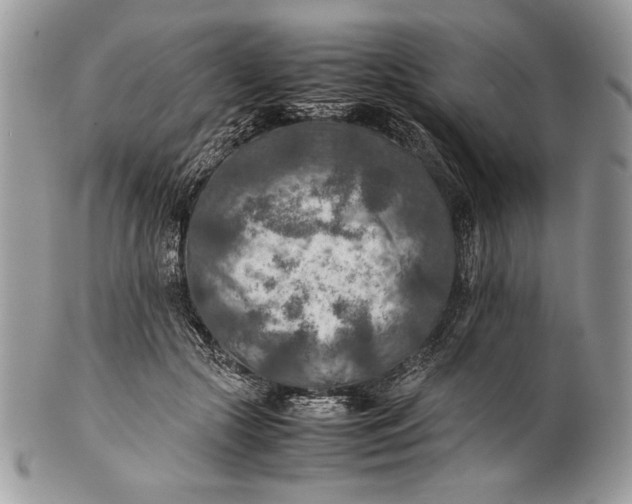 X0000100860553200807070936