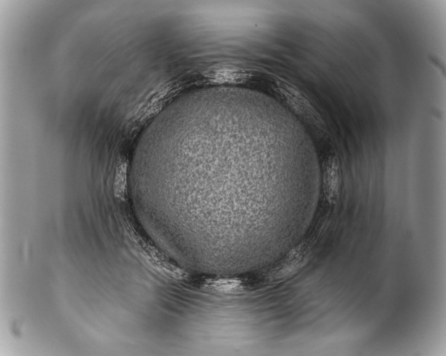 X0000100860554200807070936