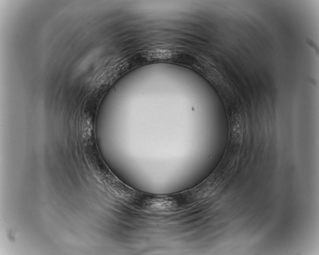 X0000100860555200807070936