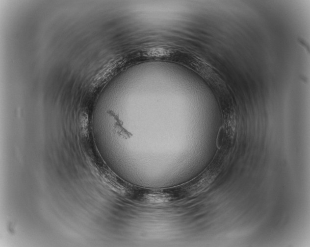 X0000100860556200807070936