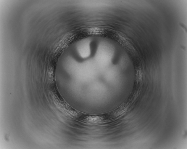 X0000100860557200807070936