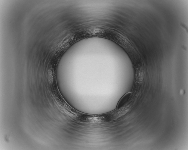 X0000100860558200807070936