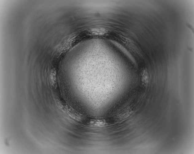 X0000100860559200807070936