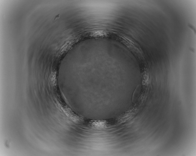 X0000100860560200807070936