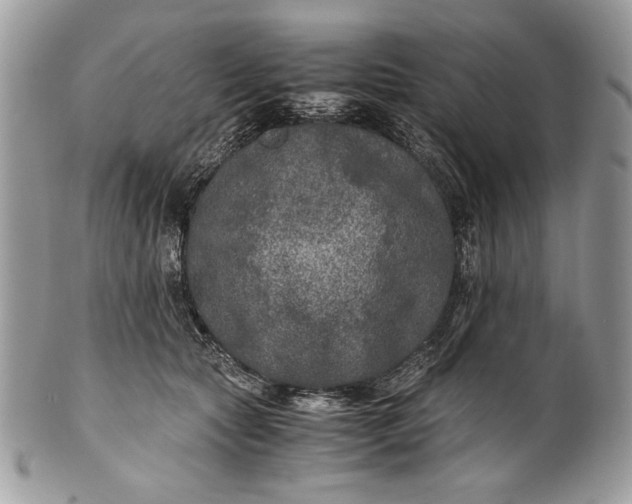 X0000100860561200807070936