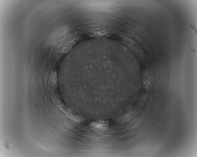 X0000100860563200807070936