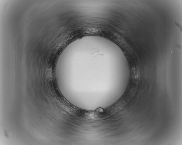 X0000100860564200807070936