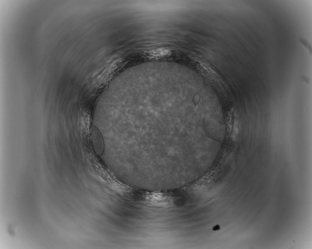 X0000100860565200807070936