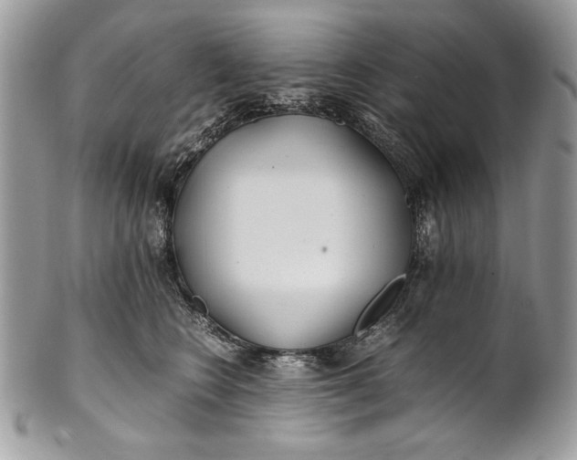 X0000100860566200807070936