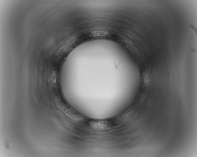 X0000100860567200807070936