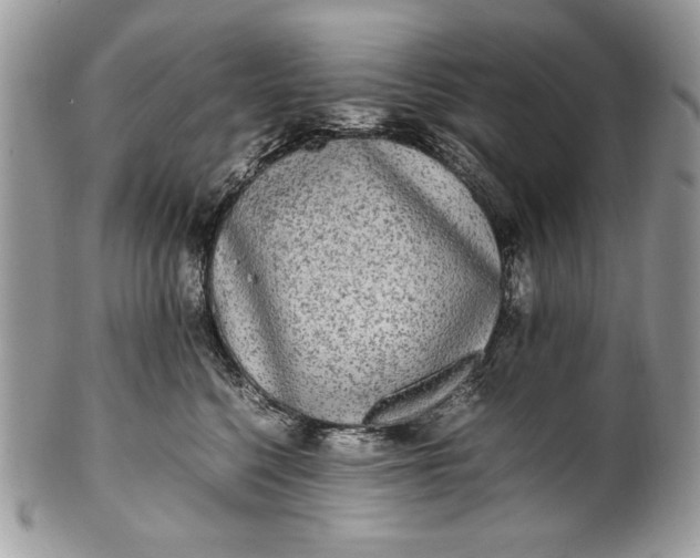 X0000100860568200807070936