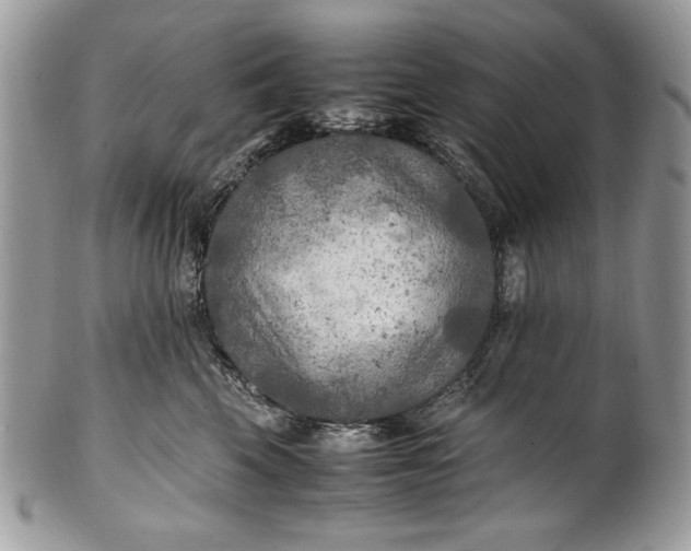 X0000100860569200807070936