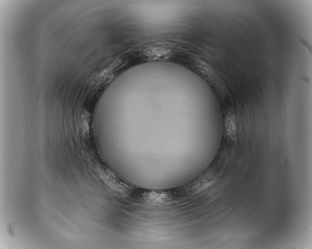 X0000100860570200807070936