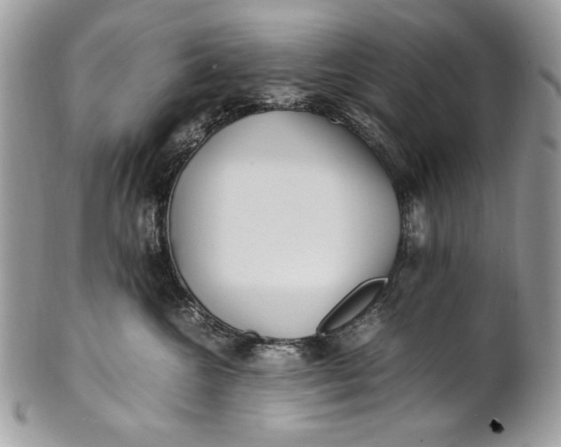 X0000100860572200807070936