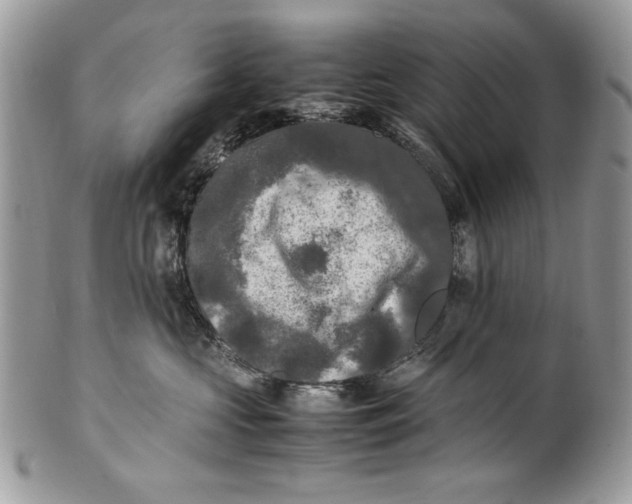 X0000100860573200807070936