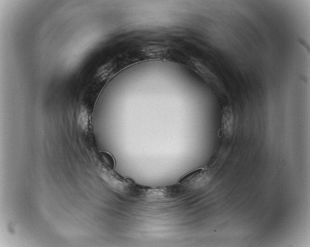 X0000100860574200807070936