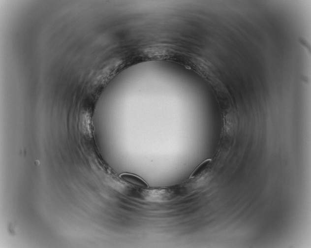 X0000100860575200807070936