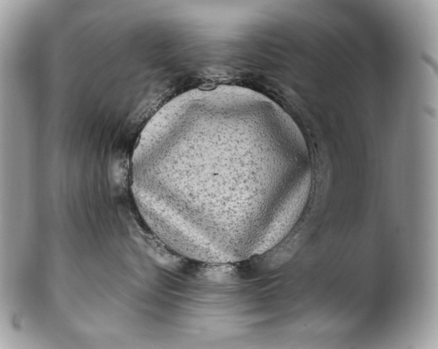 X0000100860576200807070936