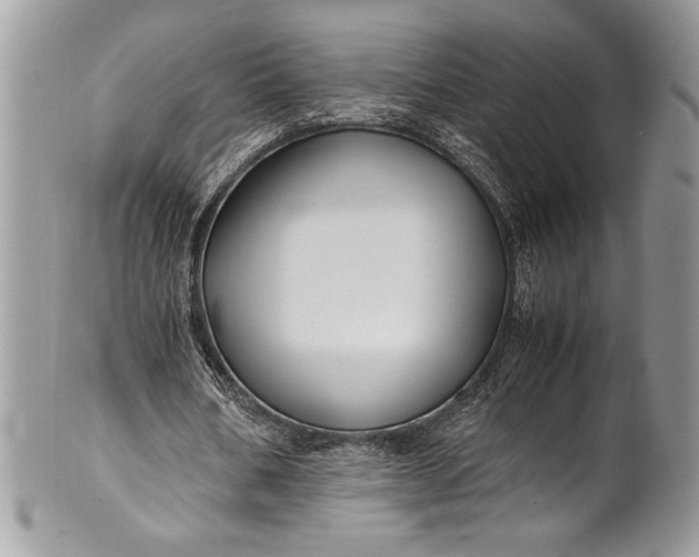 X0000100860578200807070935