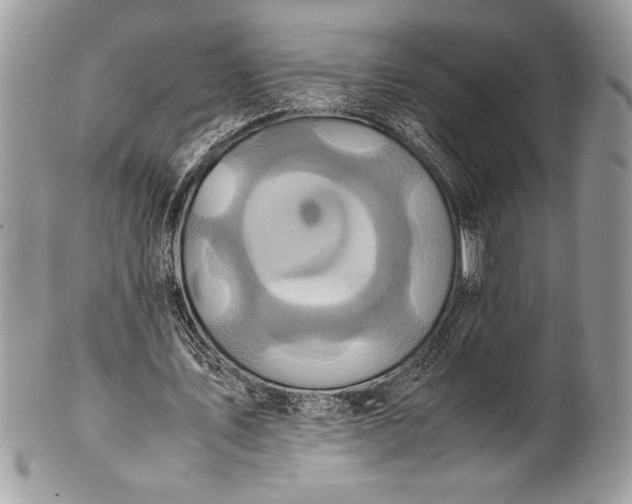 X0000100860579200807070935