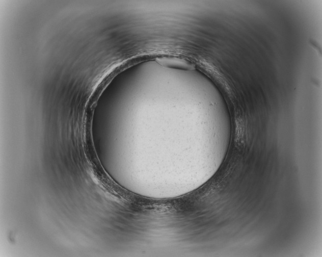 X0000100860580200807070935