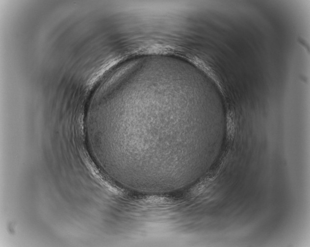 X0000100860581200807070935