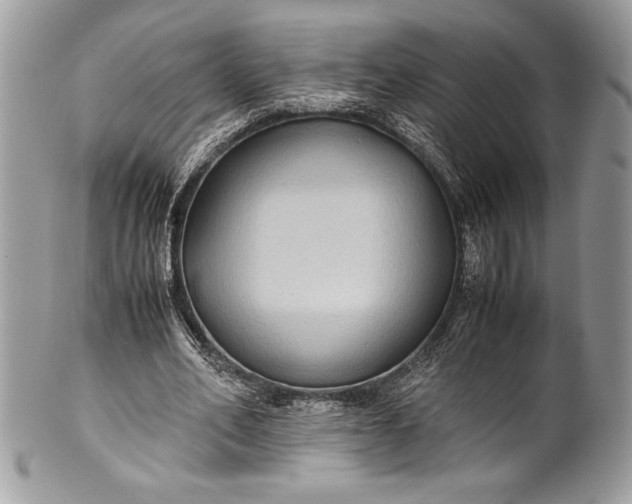 X0000100860582200807070935